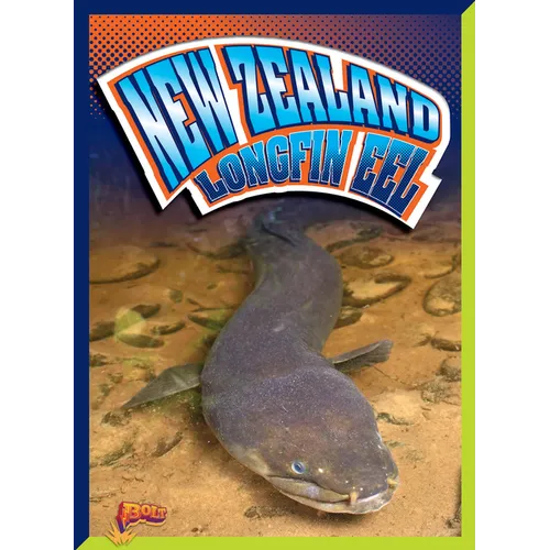 New Zealand Longfin Eel