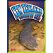 New Zealand Longfin Eel