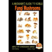 A Beginner's Guide to Edible Fungi Mushrooms