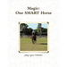 Magic One SMART Horse