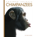 Chimpanzees