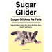 Sugar Glider. Sugar Gliders As Pets. Sugar Gliders book for care, feeding, diet, health and costs.