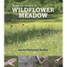 How to Make a Wildflower Meadow: Tried-And-Tested Techniques for New Garden Landscapes