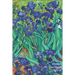 Vincent van Gogh Schrift: Irissen Artistiek Dagboek Ideaal Voor School, Studie, Recepten of Wachtwoorden Stijlvol Notitieboek voor Aantekeningen