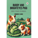 Buddy And Brighteyes Pigg Bed Time Stories