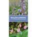 Wildflowers of the Indiana Dunes National Park