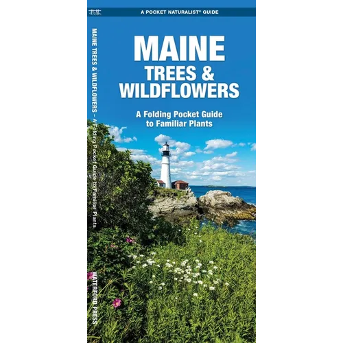 Maine Trees & Wildflowers: A Folding Pocket Guide to Familiar Plants