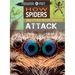 How Spiders and Other Invertebrates Attack