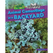 Animal Camouflage in a Backyard
