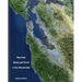 BAY AREA BLUES AND R & B IN THE 40s AND 50s