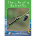 The Life of a Butterfly: Fluency Launch