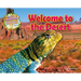 Welcome to the Desert