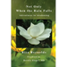 Not Only When The Rain Falls: Adventures in Awakening