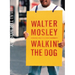 Walkin' the Dog