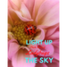 Light Up the Sky Photo Book of Ladybugs: Picture Book of Full Color Photography of Ladybugs and Flowers