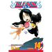 Bleach, Vol. 14