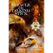 Miracle of the Talking Stick