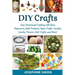 DIY Crafts: Easy Homemade Crafting Ideas: Potpourris, Bath Products, Holiday Crafts, Candles, Jewelry, Flowers, Kid's Crafts, and More!