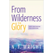 From Wilderness to Glory: Lent and Easter for Everyone