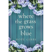 Where the Grass Grows Blue