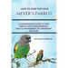 How to Care for Your Meyer's Parrot: A Comprehensive Guide to Their Habitat, Dietry Requirements, Health, Management, Pet Ownership and More