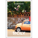 Insight Guides Sicily: Travel Guide with eBook