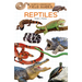 Reptiles
