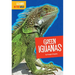 Green Iguanas