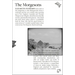 The Morgesons