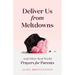 Deliver Us from Meltdowns: And Other Real-World Prayers for Parents