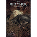 The Witcher Volume 5: Fading Memories