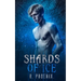 Shards of Ice: An M/M Retelling of 'The Snow Queen'