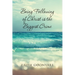 Being Following of Christ is the Biggest Crime