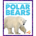 Polar Bears
