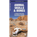 Animal Skulls & Bones: A Folding Pocket Guide to the Bones of Common North American Animals