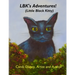 Adventures of LBK (Little Black Kitty)
