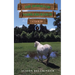 The Horses of Saddlers Ranch: Cloud