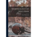 Morphology of Solo Man