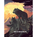 How to Draw Wolfs: Step-by-Step Drawing Guide Book to Learn How to Draw Wolves For Kids