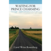 Waiting for Prince Charming