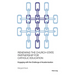 Renewing the Church-State Partnership for Catholic Education: Engaging with the Challenge of Academisation