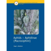 Aphids - Aphidinae (Macrosiphini)