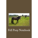 My Fell Pony