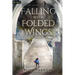 Falling with Folded Wings 2: A Litrpg Progression Fantasy