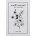 Soul's Mend