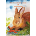 The Uneaten Carrots of Atonement