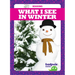 What I See in Winter