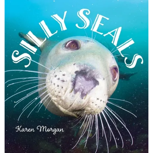 Silly Seals