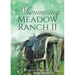 Shimmering Meadow Ranch II