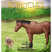 Scratches: My New Life!